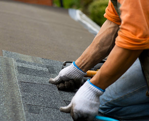 Best Local Roofing Companies  in Mount Pleasant, TX